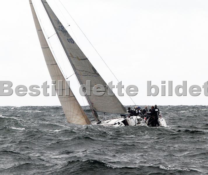 ORCi 204.jpg
